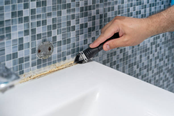 Best Post-Flood Mold Remediation in Brookside, NJ